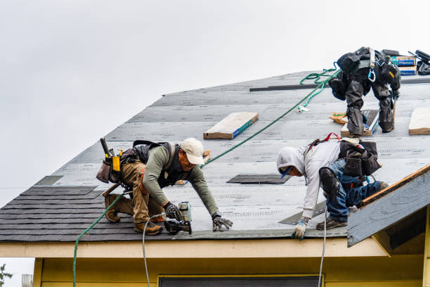 Professional Gutter Installation technician working in Collins, IA